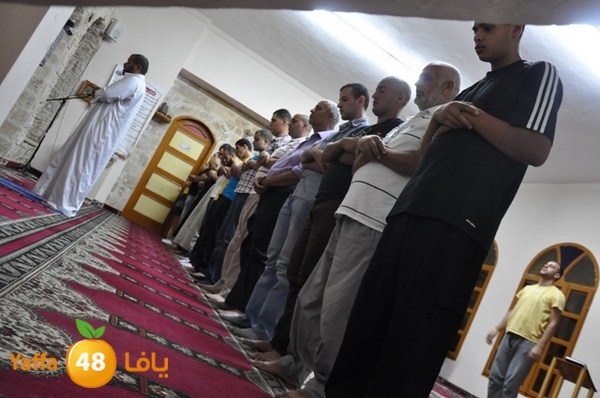 msajed amer qder 804 (23).JPG